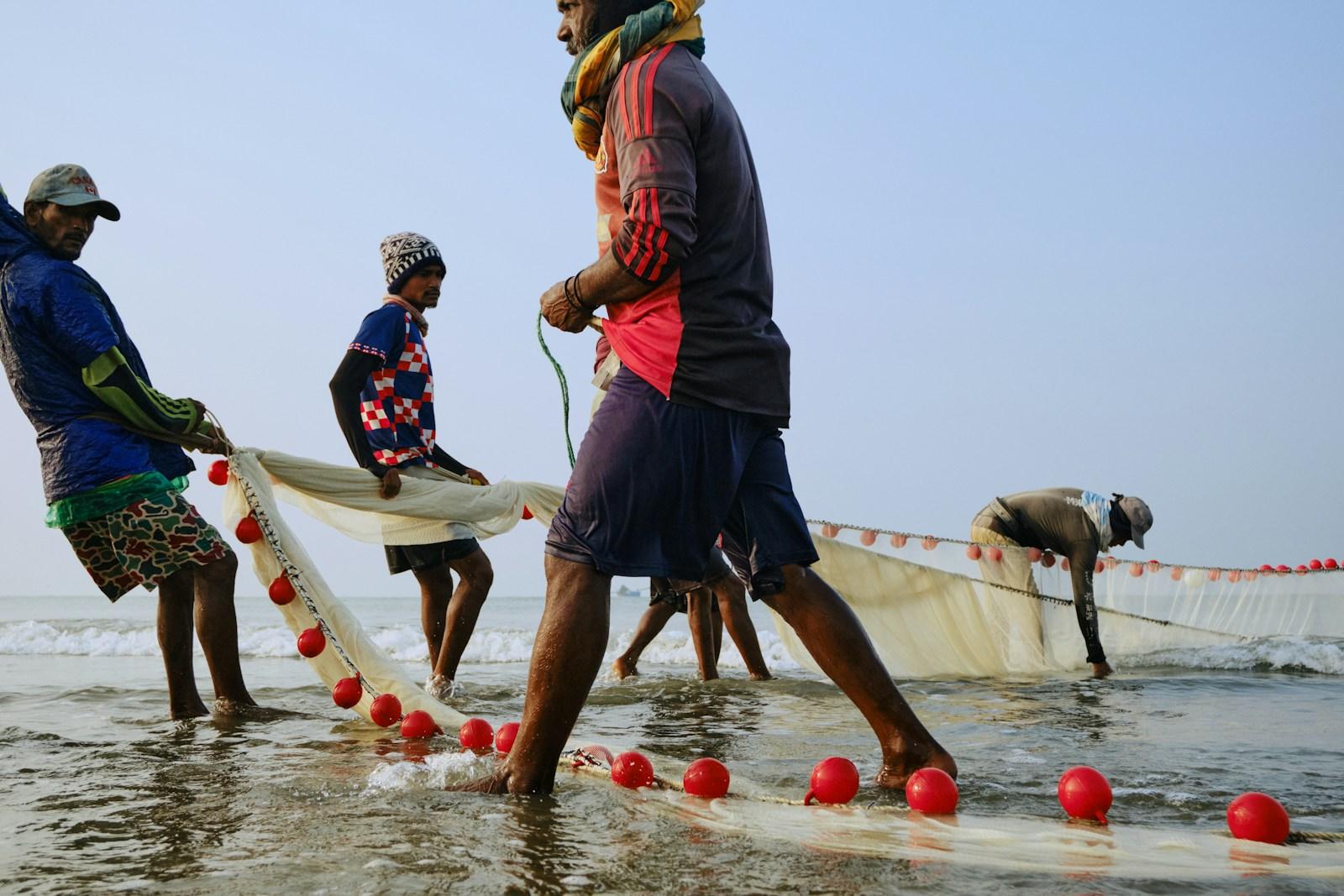 জাল টেনে মাছ ধরা
